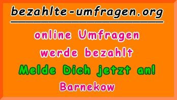 bezahlte Umfragen in Barnekow