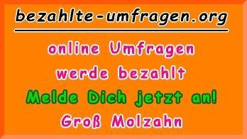 bezahlte Umfragen in Groß Molzahn