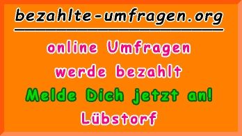 bezahlte Umfragen in Lübstorf