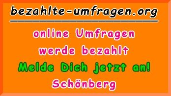 bezahlte Umfragen in Schönberg