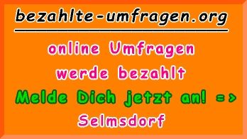 bezahlte Umfragen in Selmsdorf