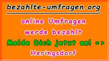 bezahlte Umfragen in Heringsdorf
