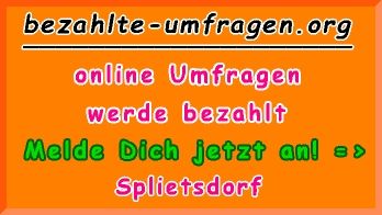 bezahlte Umfragen in Splietsdorf