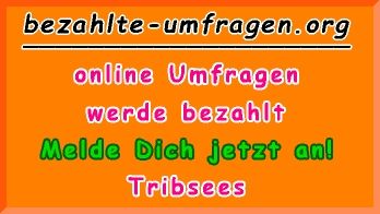 bezahlte Umfragen in Tribsees