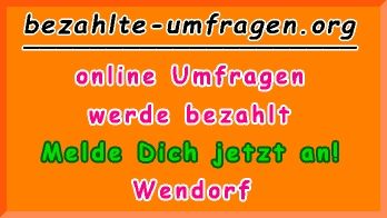 bezahlte Umfragen in Wendorf