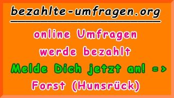 bezahlte Umfragen in Forst (Hunsrück)